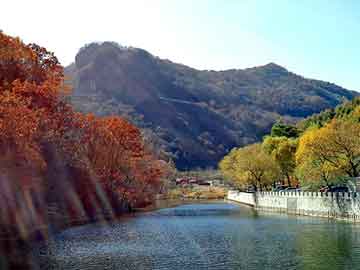 管家婆黑白马报图库，星空大帝 纵横